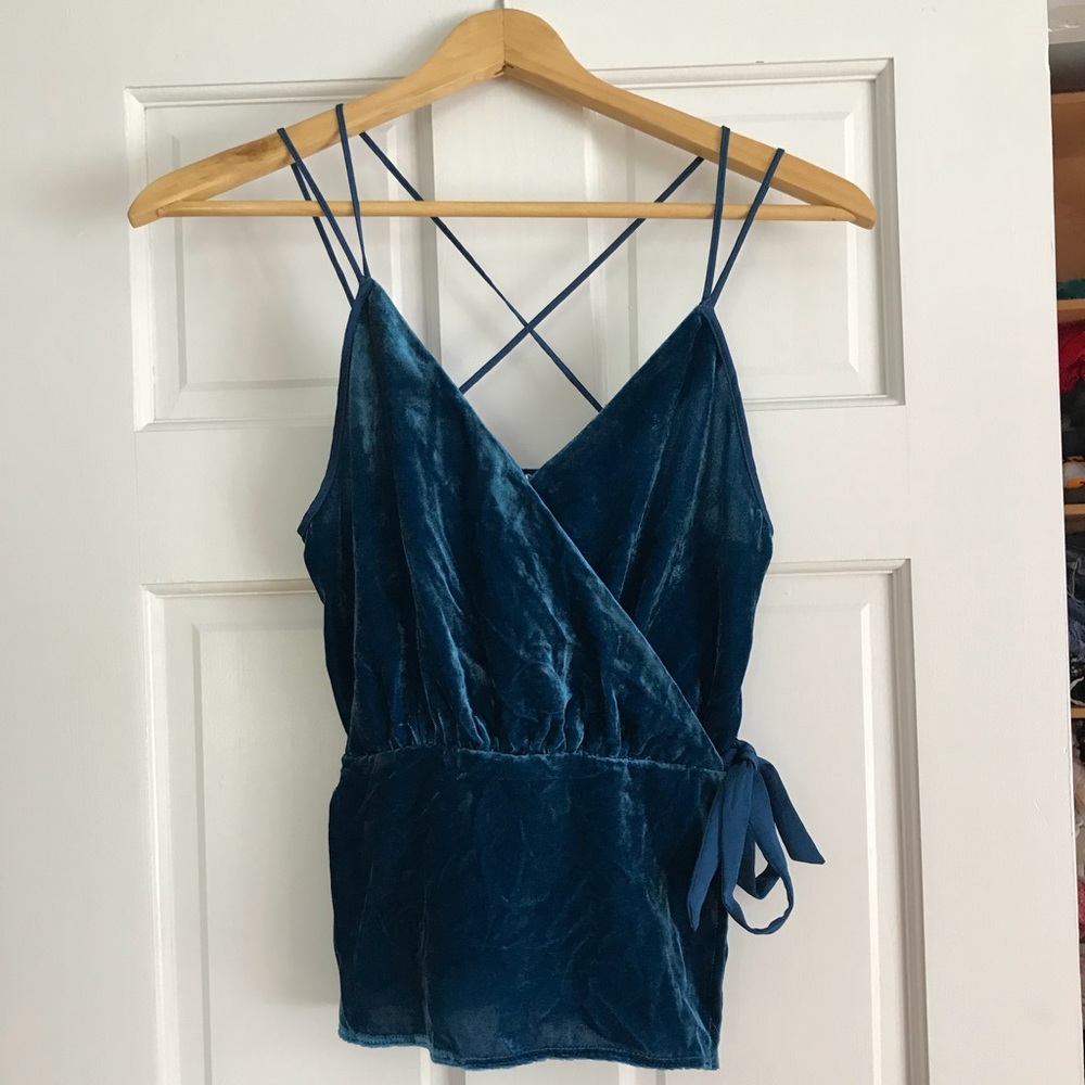 Express Velvet Blouse